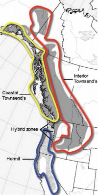 Warbler Range Map