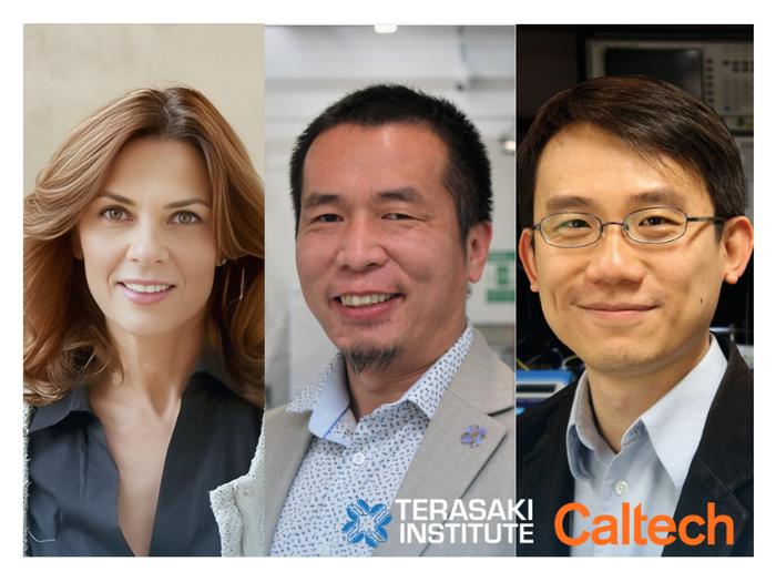 Terasaki Institute and Caltech Awarded $2.8 Million CIRM Grant to Advance Research on Human Embryo Formation