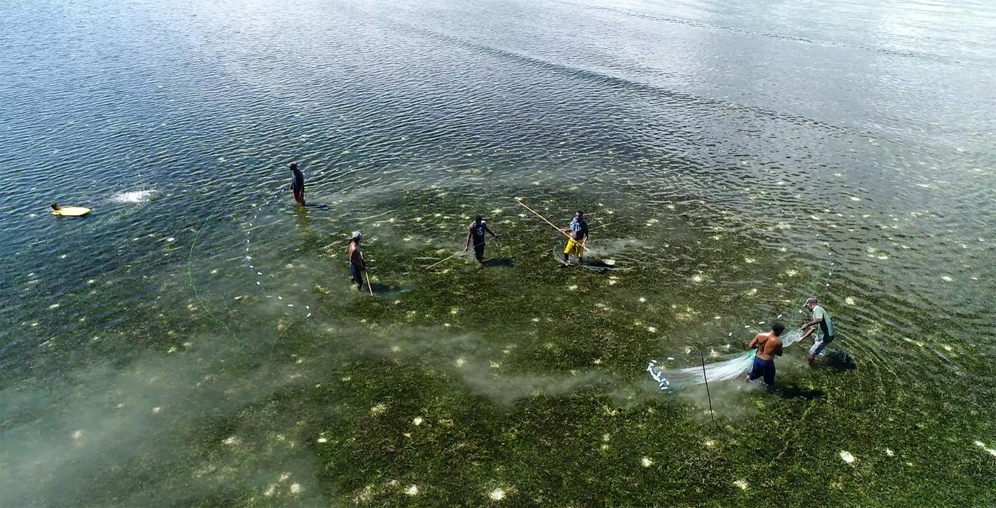 Group of Fishers