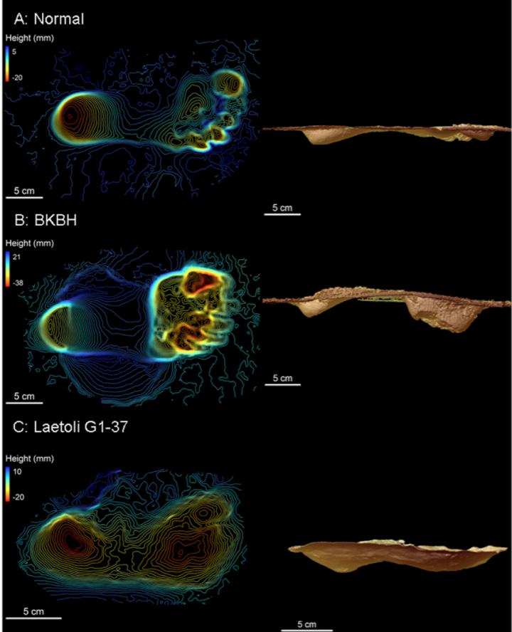 Evidence that Human-like Walking Mechanics Evolved Before the Genus <em>Homo</em>