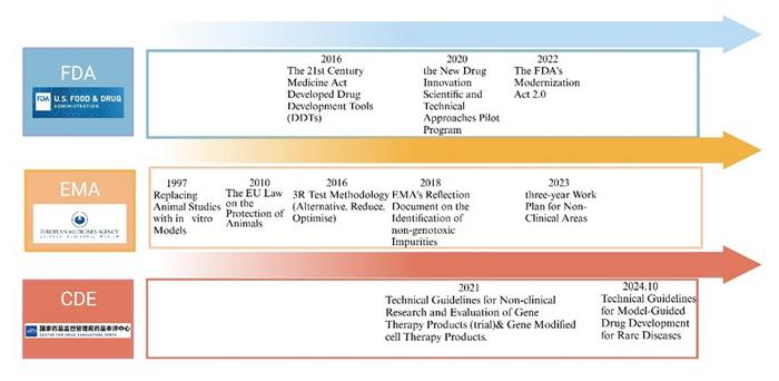 Regulatory authorities' regulations on organoid models