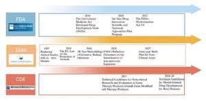 Regulatory authorities' regulations on organoid models