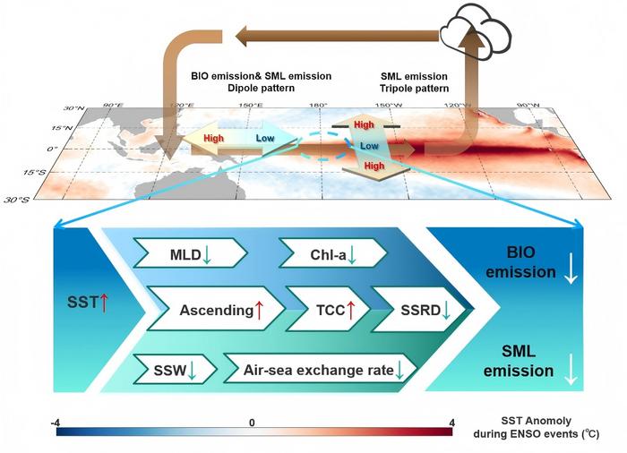 Interannual Variability in Marine Isoprene Emissions Modulated by ENSO Dynamics.