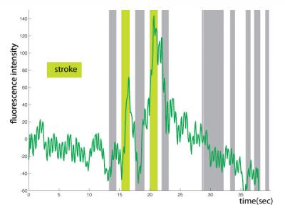 Fluorescence Intensity Graph