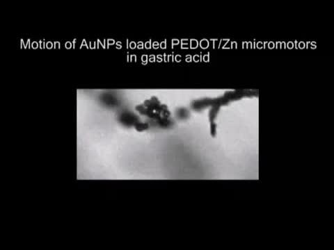 Motion of Micromotors in Gastric Acid
