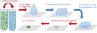 3-D Bacterial Printing Cycle