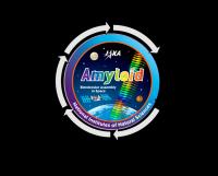 Outline of the "Amyloid" Project