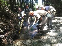Fish Rescue