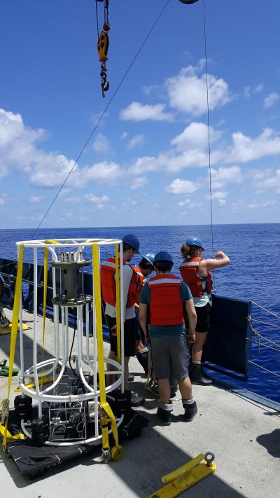 Collecting Samples