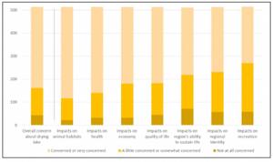 Survey respondents' concerns