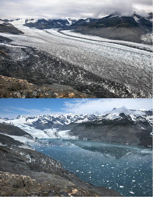 Dwindling Ice