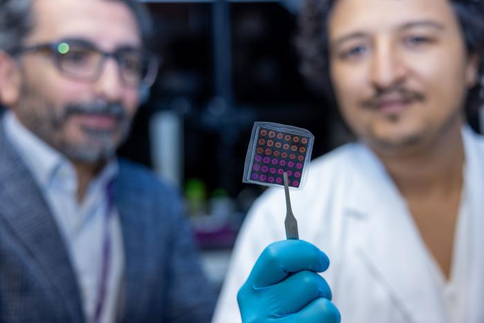 NYU Abu Dhabi researchers develop “Spheromatrix,” a platform to grow, freeze, and store living tumor models for faster, more reliable drug discovery
