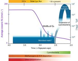 Nickel, Urea, and the Path to the Great Oxidation Event