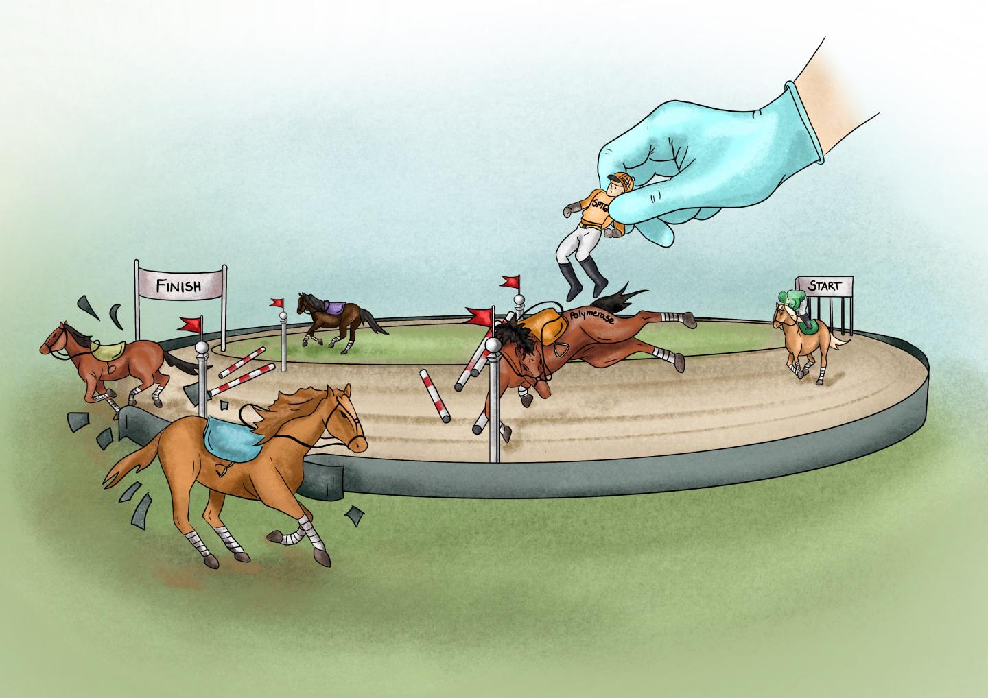 The obstacle race of transcription