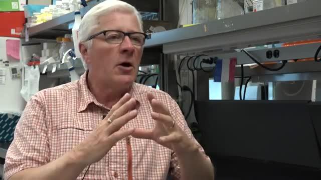 Dr. John Dick, Senior Scientist, Princess Margaret Cancer Centre