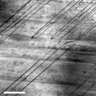 Antiferroelectric Crystal