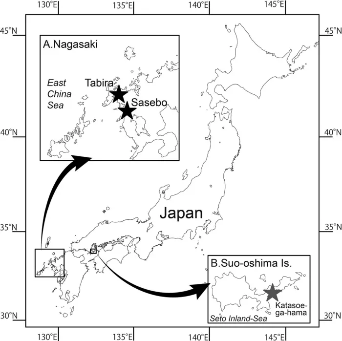 Sampling localities of Malagazzia michelin