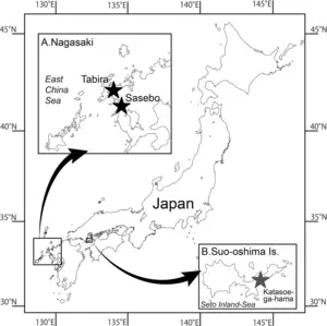 Sampling localities of Malagazzia michelin
