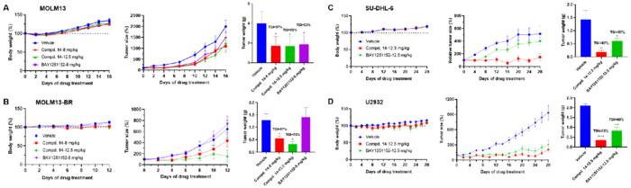 Researchers Develop Potent CDK9 Inhibitor to Overcome Drug Resistance in Hematological Malignancies