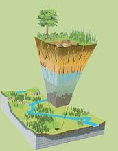 Earth's Critical Zone