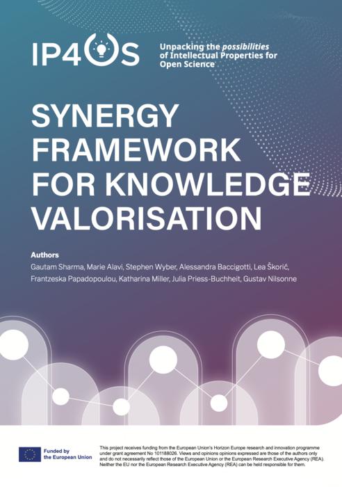 Cover of the Synergy Framework