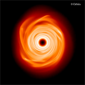 Video showing the impact of a warp as it wipes out the spiral structure of a protoplanetary disc.