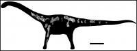 <i>Rukwatitan bisepultus</i>