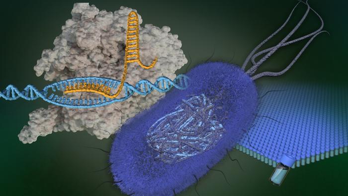 GuideRNA Atlas project image