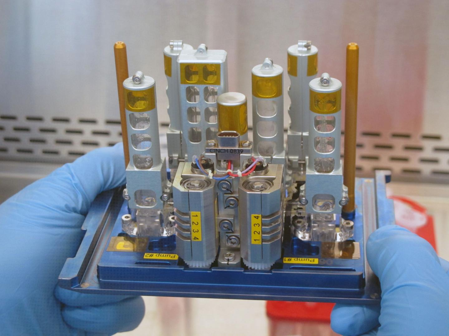 Cells Adapt Ultra-Rapidly to Zero Gravity
