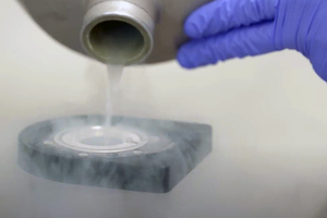 Preparation of cryo electron microscope sample