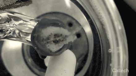 Gas Generation