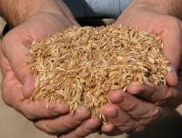 Power Oats