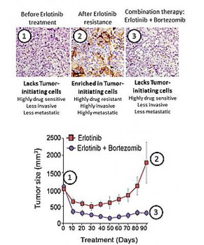 Cancer Stemness
