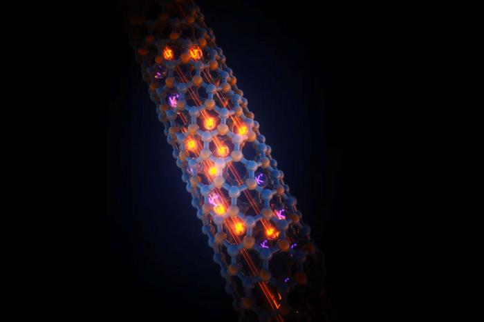 Boron nitride nanotube