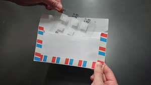 Sperm sheets in envelope