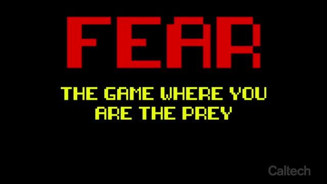 Fear, Brains and a Videogame