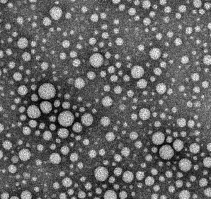 Drug Particles