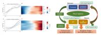 The Transition Curves and Heatmap of Genes