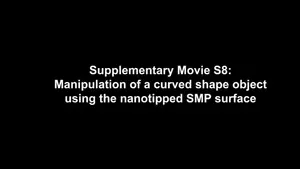 Manipulation of a curved shape object using the nanotipped SMP surface