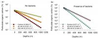 Estimated effects of aluminum on the export of particulate organic carbon to ocean depths