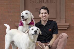 Dog aging and DNA changes