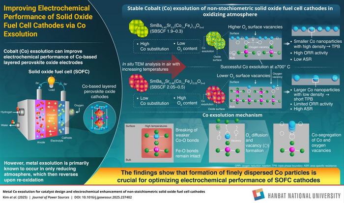 Cobalt exsolution in layered perovskite oxides