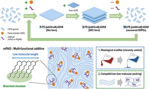 [2] Polymerized Near-Infrared Fluorescent Dye with Enhanced Photostability
