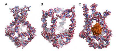 Nanocage