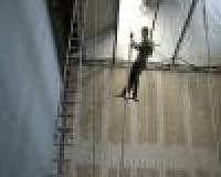 Parkour Athlete Swaying a Model Tree