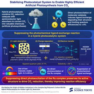 Light-management method stabilizes hybrid photocatalyst for CO2 conversion