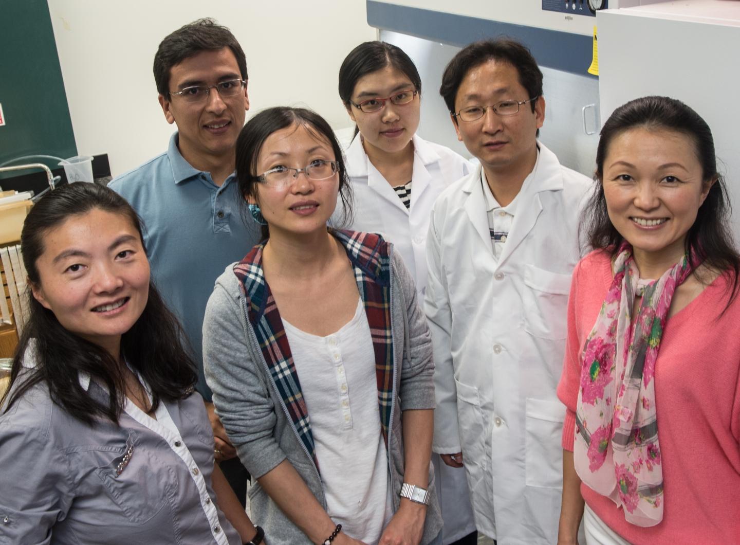 Rice Researchers on the Project