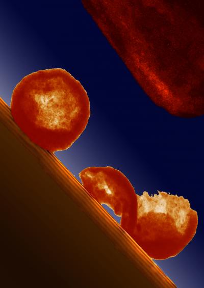 Nanospheres