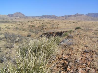 Rangeland