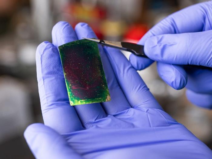 University of Houston two-dimensional thin film electric insulator